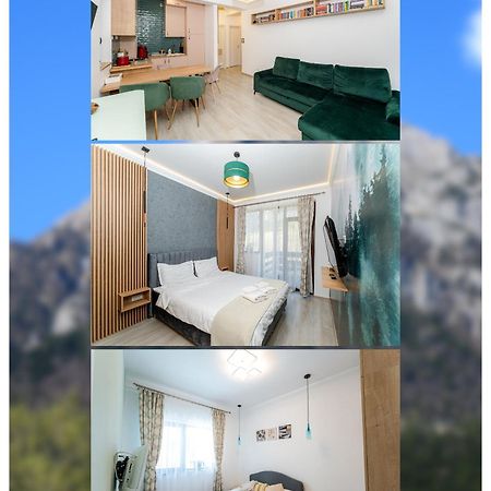 Cross Caraiman View 1 Appartement Buşteni Buitenkant foto